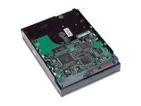 HP Festplatten - 1 TB - 3.5" - 7200 rpm - SATA-600 - 32 MB cache
