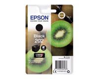 epson Singlepack Black 202 Kiwi