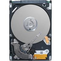 Dell Festplatten - 4 TB - 3.5" - 7200 rpm - SAS2 - cache