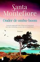 Onder de ombu-boom