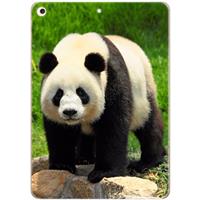 B2Ctelecom Apple iPad 9.7 (2017) Uniek Design Hoesje Panda