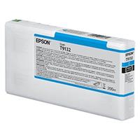 Epson C13T913200