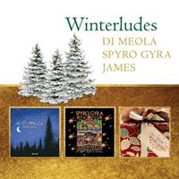 Al Di Meola, Boney James, Spyro Gyra Winterludes