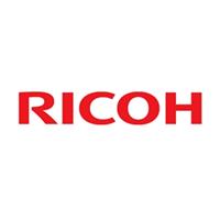 Ricoh D0392020