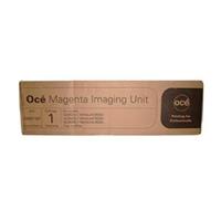 Oce Oc? 29951187 imaging unit magenta (origineel)