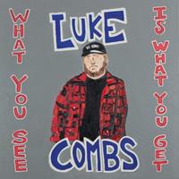 Luke Combs - What You See Is What You Get (2-LP)