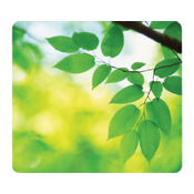 Fellowes - Mouse Pad, Earth Series Leaves (5903801)