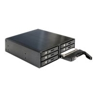 Delock Festplatten-Einbaurahmen 47221 - 5.25" Wechselrahmen für 6 x 2.5" SATA HDD / SSD