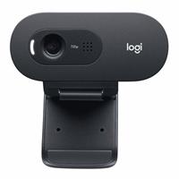 Logitech - C505e HD Webcam, brownbox