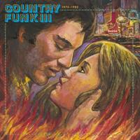 375 Media GmbH / LIGHT IN THE ATTIC / CARGO Country Funk Vol.3 (1975-1982)