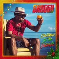 Warner Music Group Germany Hol / BMG RIGHTS MANAGEMENT Christmas In The Islands (Deluxe Edition)