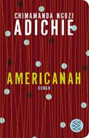 Chimamanda Ngozi Adichie Americanah