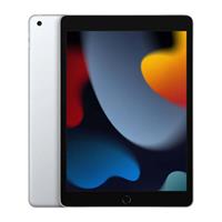 Apple 10.2-inch iPad (2021) Wi-Fi 256GB Silver