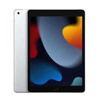 Apple 10.2-inch iPad (2021) Wi-Fi + Cellular 256GB Silver