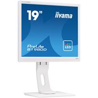 Iiyama ProLite B1980D-W1 Monitor 48 cm (19 Zoll)