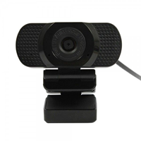 ALLNET Plusonic USB Webcam Full-HD AF.V2