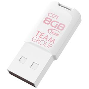 Team Group C171 8 GB, USB-Stick