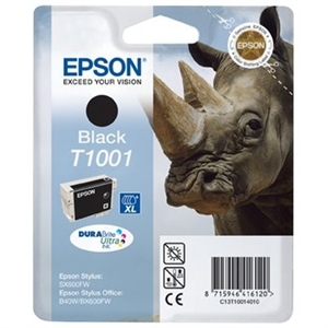 Epson T1001 inkt cartridge zwart (origineel)