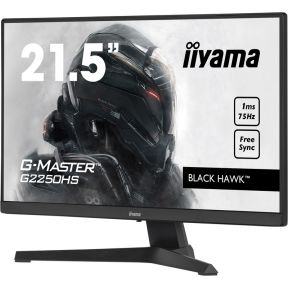 Iiyama ProLite G2250HS-B1 22 Full-HD VA monitor