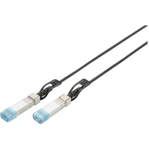 Digitus »SFP+ 10G DAC Kabel 2m, Cisco, Alcatel, Avaya,« Netzwerk-Switch