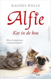 Rachel Wells Alfie - Kat in de kou -   (ISBN: 9789402708844)