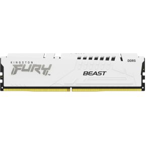 32GB Kingston Beast DDR5 5600 MHz (1x 32 GB) Arbeitsspeicher