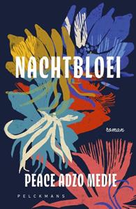 Peace Adzo Medie Nachtbloei -   (ISBN: 9789463378116)