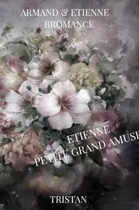 Tristan van Engelenburcht Armand & Etienne -   (ISBN: 9789403670898)