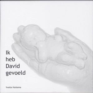 Yvette Huitema Ik heb David gevoeld -   (ISBN: 9789079664030)