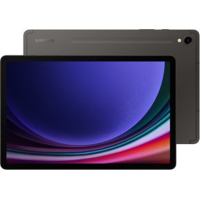 Samsung Galaxy Tab S9 256GB, Tablet-PC