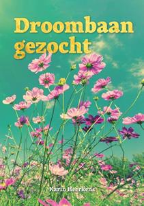 Karin Heerkens Droombaan gezocht -   (ISBN: 9789464911510)