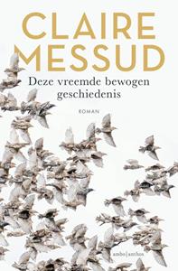 Claire Messud Deze vreemde bewogen geschiedenis -   (ISBN: 9789026366185)