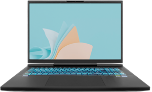 Skikk Extreme 5 Laptop: 17-inch Quad HD, Intel i9 24 Cores, RTX 4090 - Ultieme Gaming&Professionele Prestaties