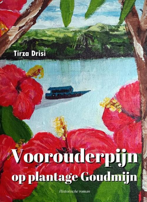 Tirza Drisi Voorouderpijn Op Plantage Goudmijn -   (ISBN: 9789083369198)