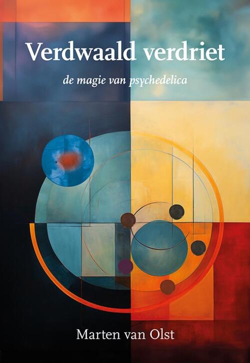 Marten van Olst Verdwaald verdriet -   (ISBN: 9789463656207)