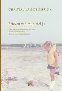 Chantal van den Brink Brieven van mijn ziel - boek 1 -   (ISBN: 9789081817202)