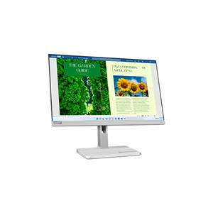 Lenovo L24m-40 Monitor Grijs