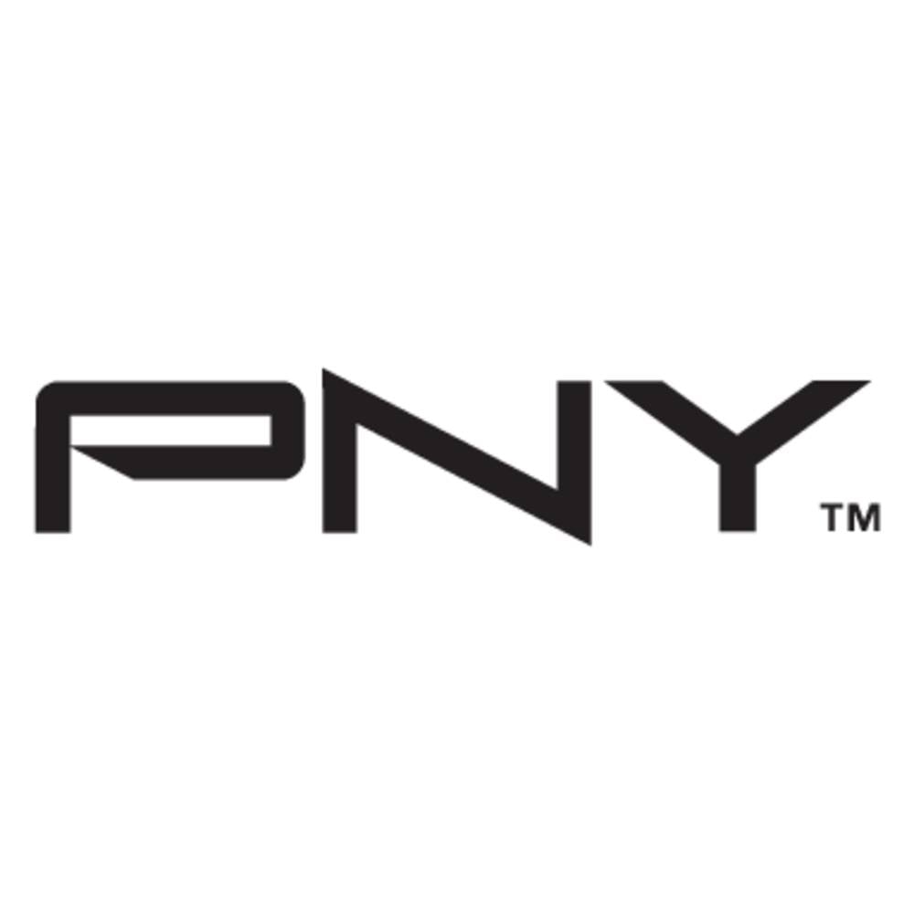 PNY Bridge voor videokaart