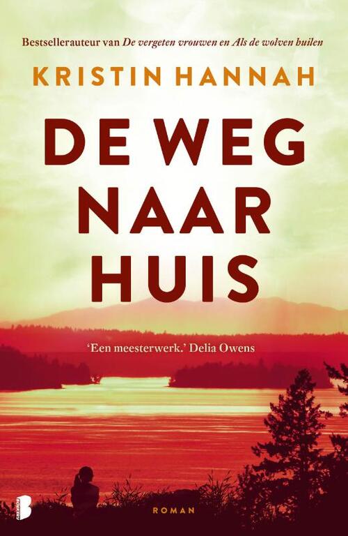 Kristin Hannah De weg naar huis -   (ISBN: 9789049206093)