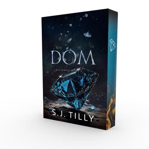 S.J. Tilly Dom -   (ISBN: 9789464405668)