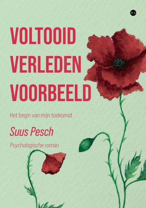 Suus Pesch Voltooid verleden voorbeeld -   (ISBN: 9789465098753)