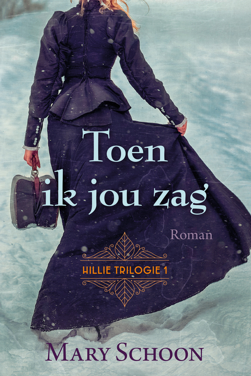 Mary Schoon Toen ik jou zag -   (ISBN: 9789020552683)