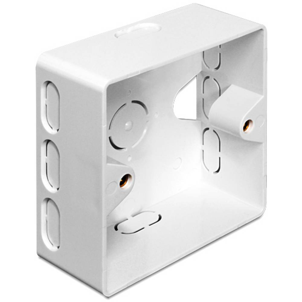 Delock 86128 Netwerkdoos Opbouw (op muur) 2 poorten Wit