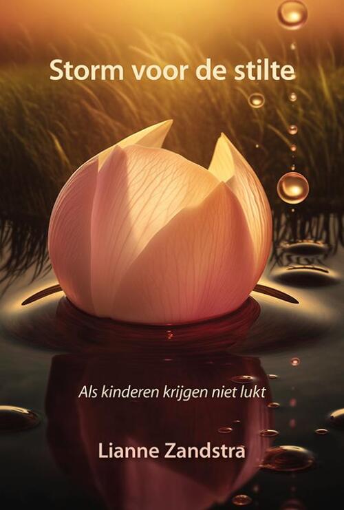 Lianne Zandstra Storm voor de stilte -   (ISBN: 9789463657716)