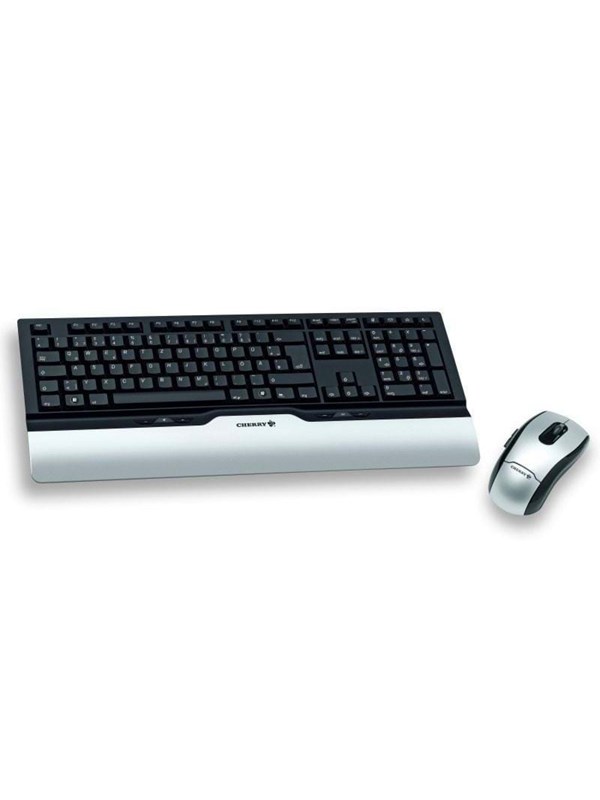 Cherry eVolution CONTROL XT Wireless - Keyboard and mouse set - Zwart