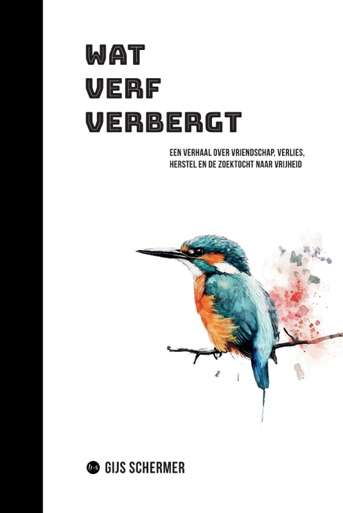 Gijs Schermer Wat verf verbergt -   (ISBN: 9789465289588)