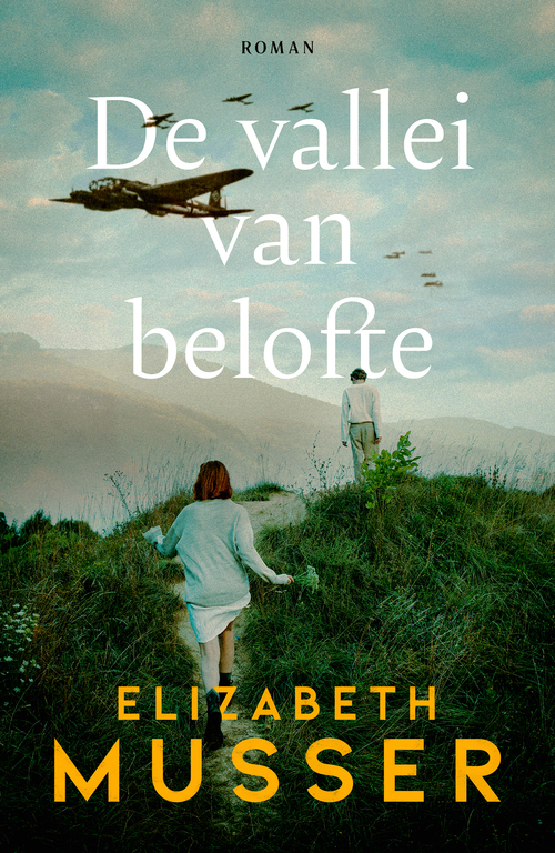 Elizabeth Musser De vallei van belofte -   (ISBN: 9789029738712)