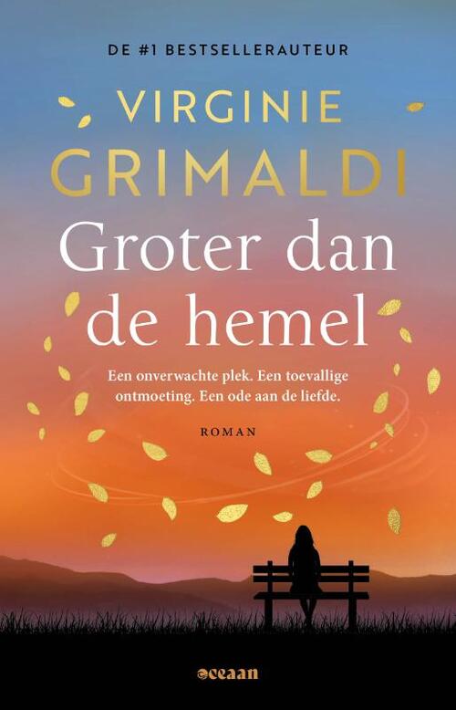 Virginie Grimaldi Groter dan de hemel -   (ISBN: 9789046834114)