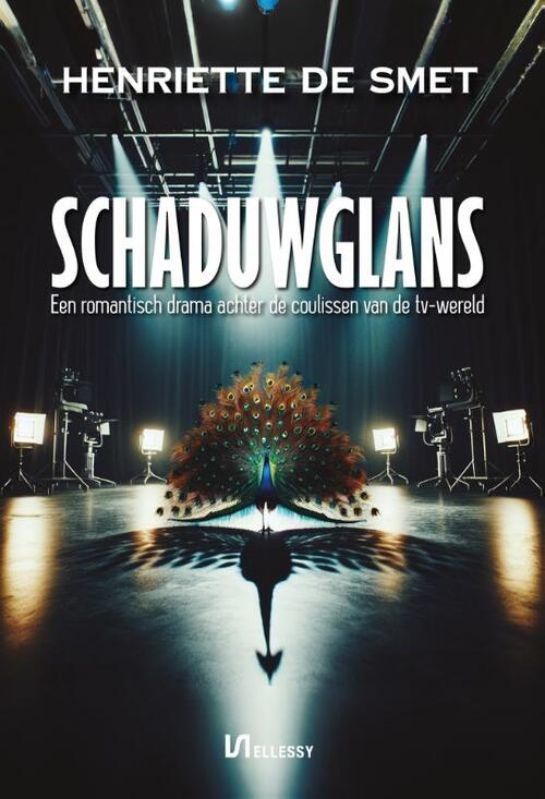 Henriëtte de Smet Schaduwglans -   (ISBN: 9789464938500)