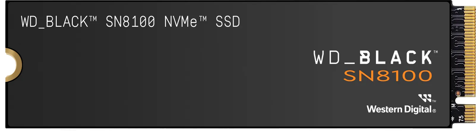 Western Digital WD Black SN8100 2TB NVMe SSD